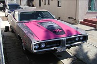 Panther Pink Cuda