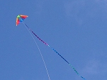 Flying Delta Conyne Kite at Mission Bay Park.